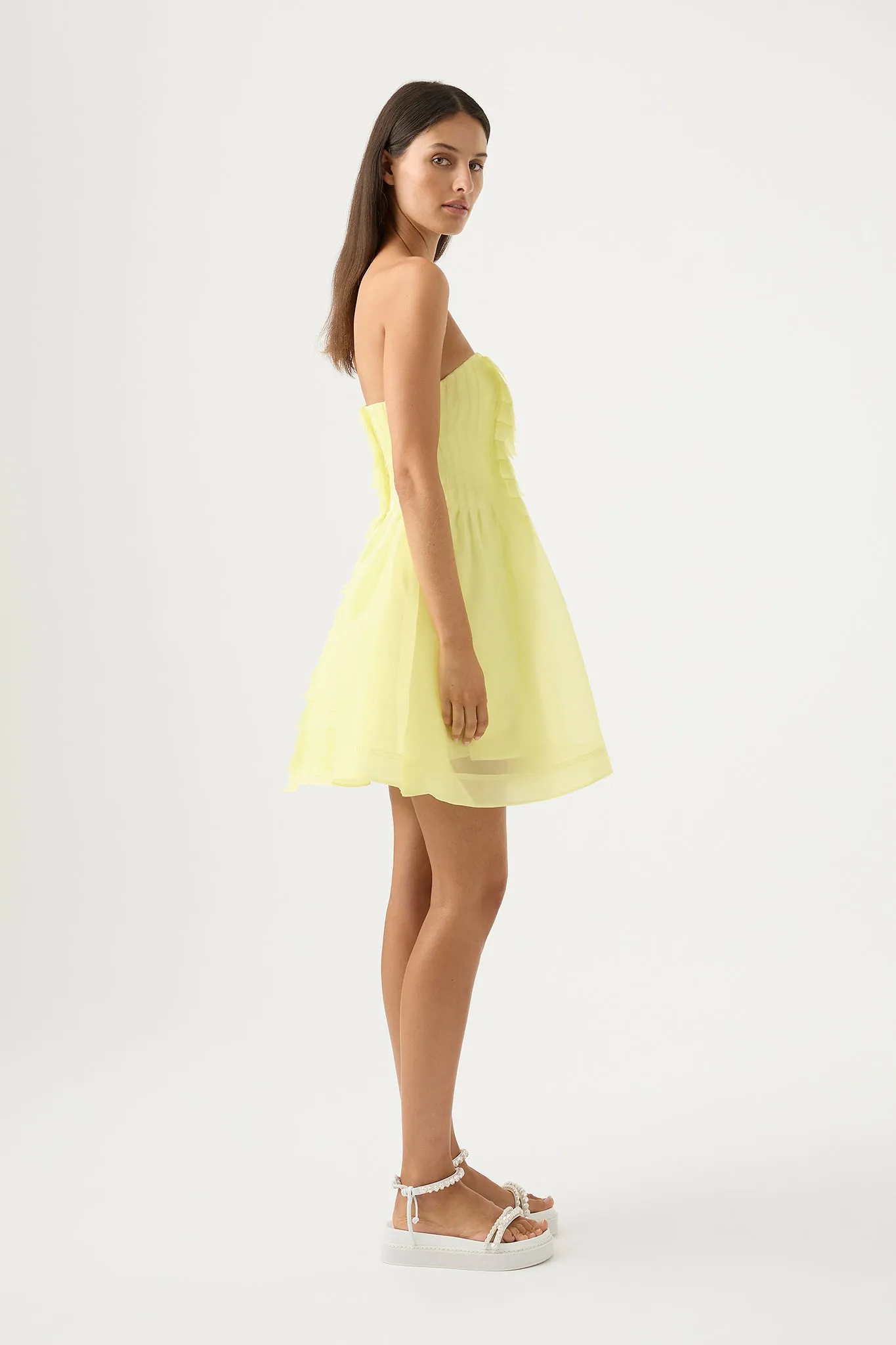 Astrid Strapless Mini Dress