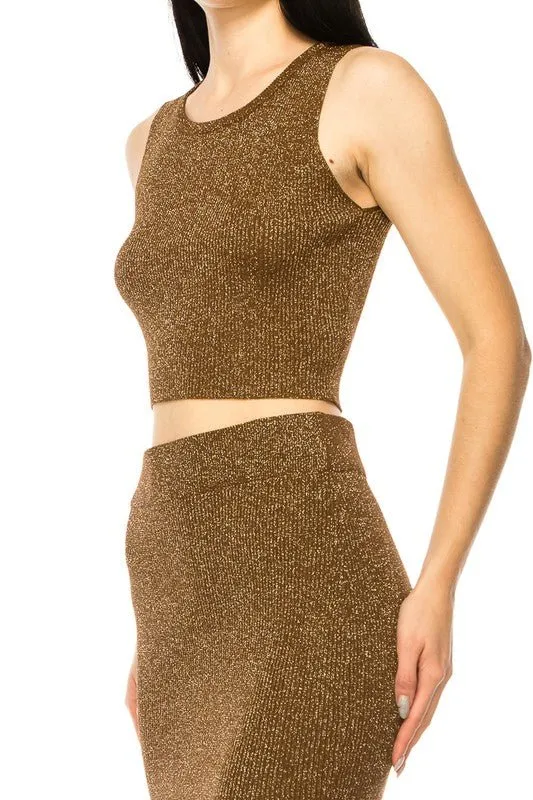 Brown Metallic Shinny Skirt Set