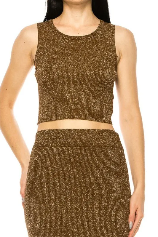 Brown Metallic Shinny Skirt Set
