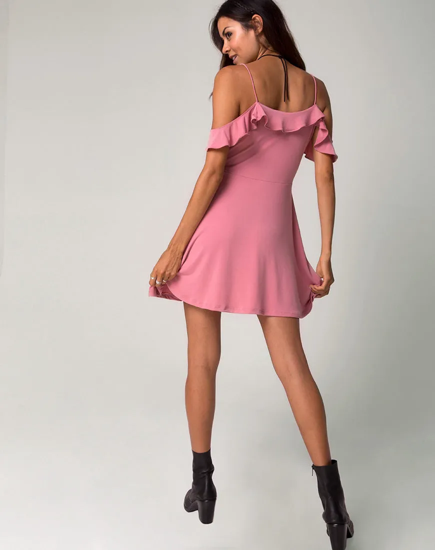 Cannes Skater Dress in Petal