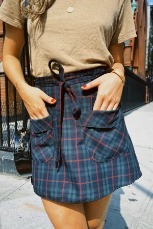CLOAK & DAGGER L'ECOLE BIRKIN SKIRT