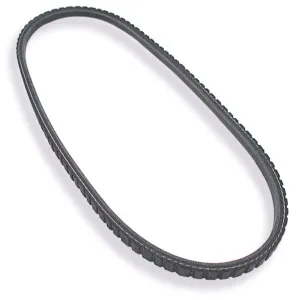 Dayco SB Chevy Water Pump & Power Steering Belt - 39"