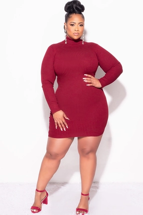 EcoFriendlyBlend UltraSoftLining Final Sale Plus Size Ribbed Turtle Neck Dress in Burgundy