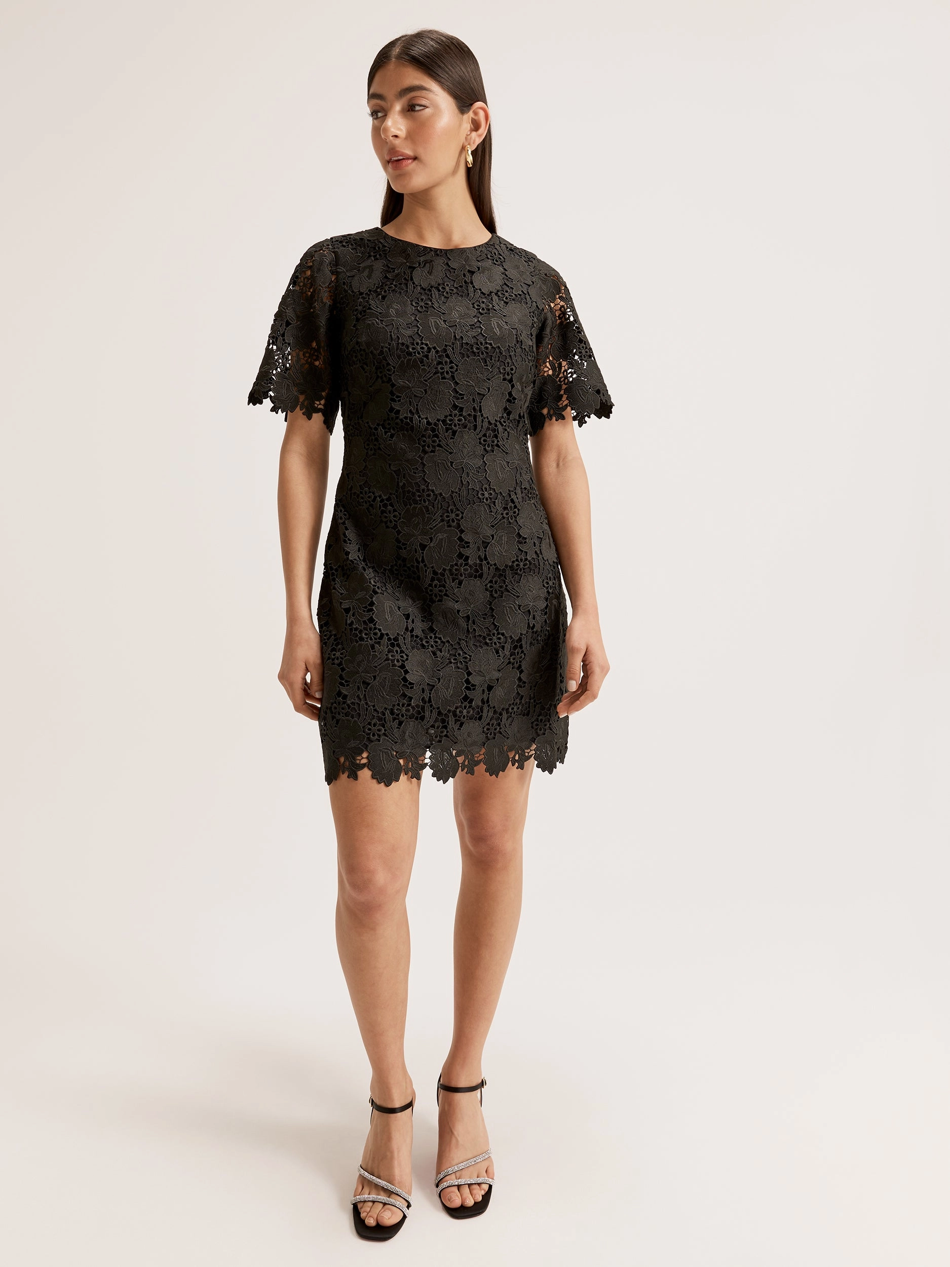 Tall Girl Trina A-Line Dress