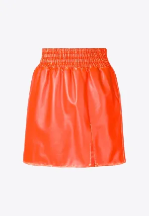 Leather Mini Skirt