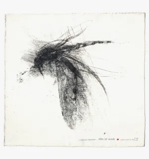 MOTION