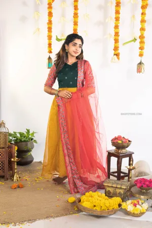 Multi Color Varnam Georgette Anarkali