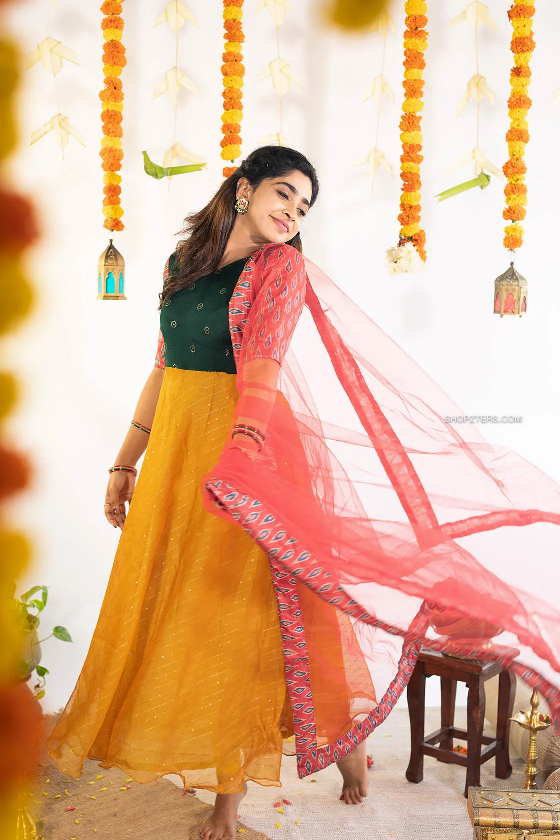 Multi Color Varnam Georgette Anarkali