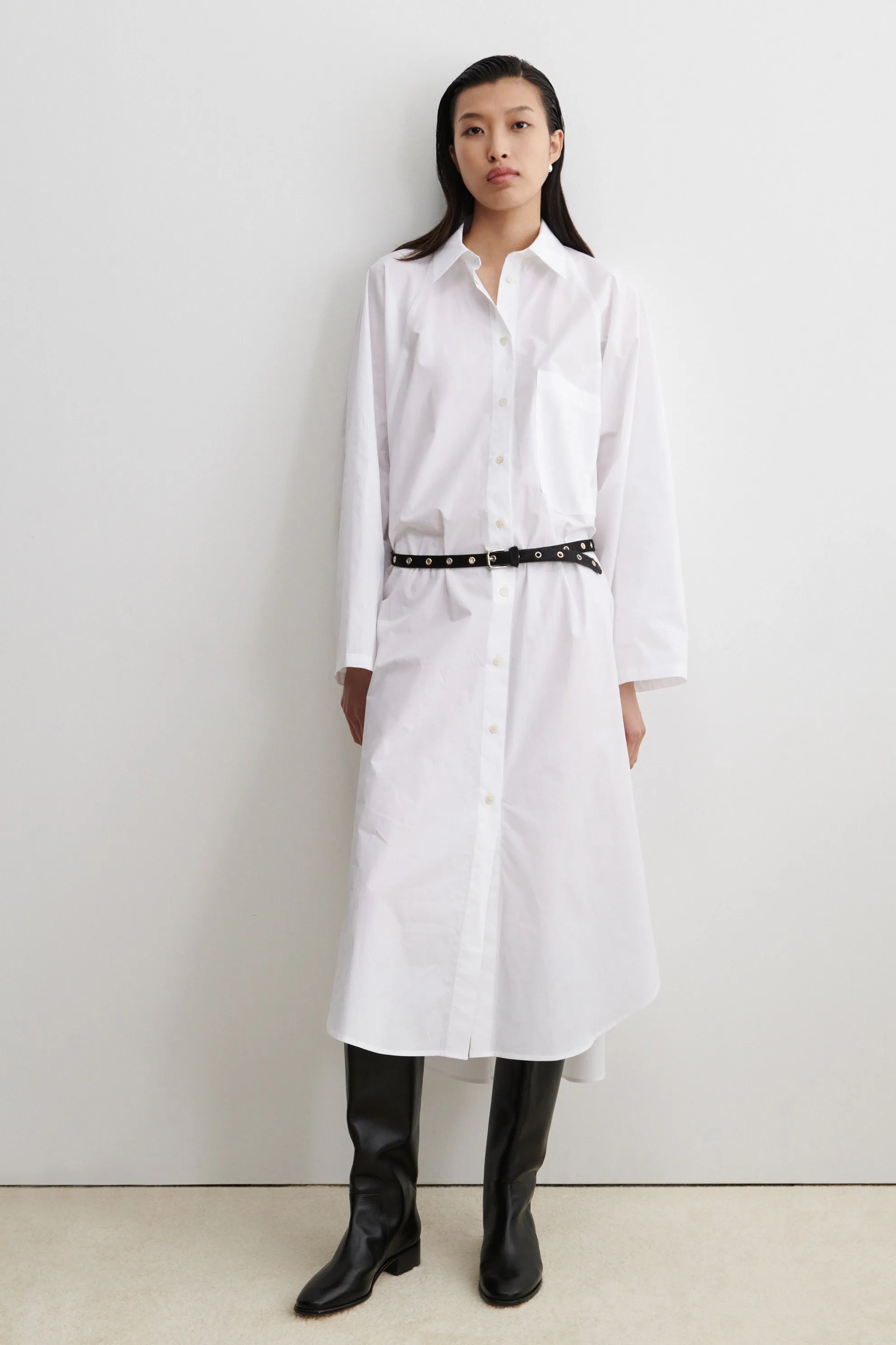 Sleek Silhouette Naz Dress