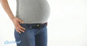 Organic Cotton Flexi-belt