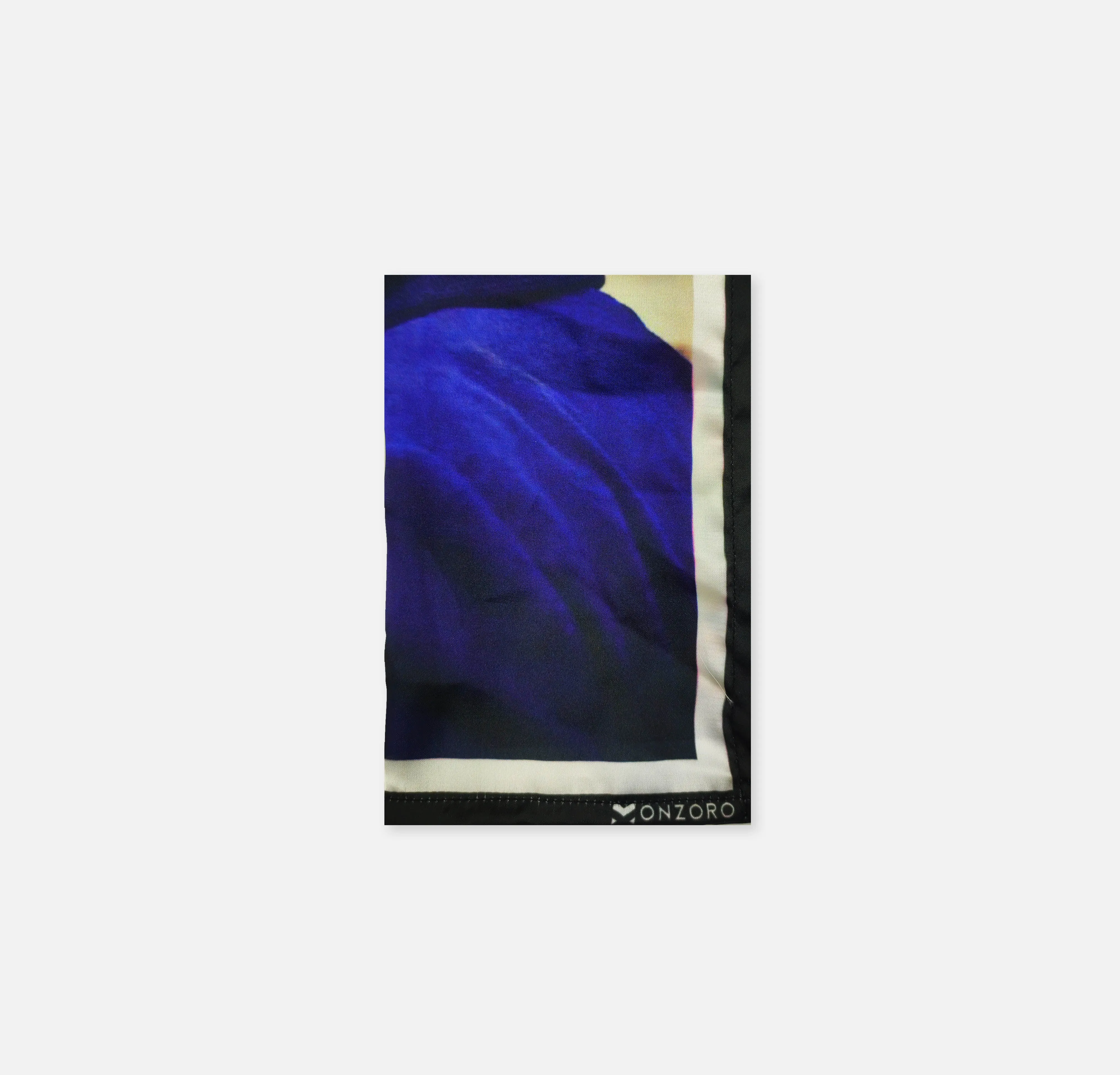 PPP BILAWAL BHUTTO - silk pocket squares