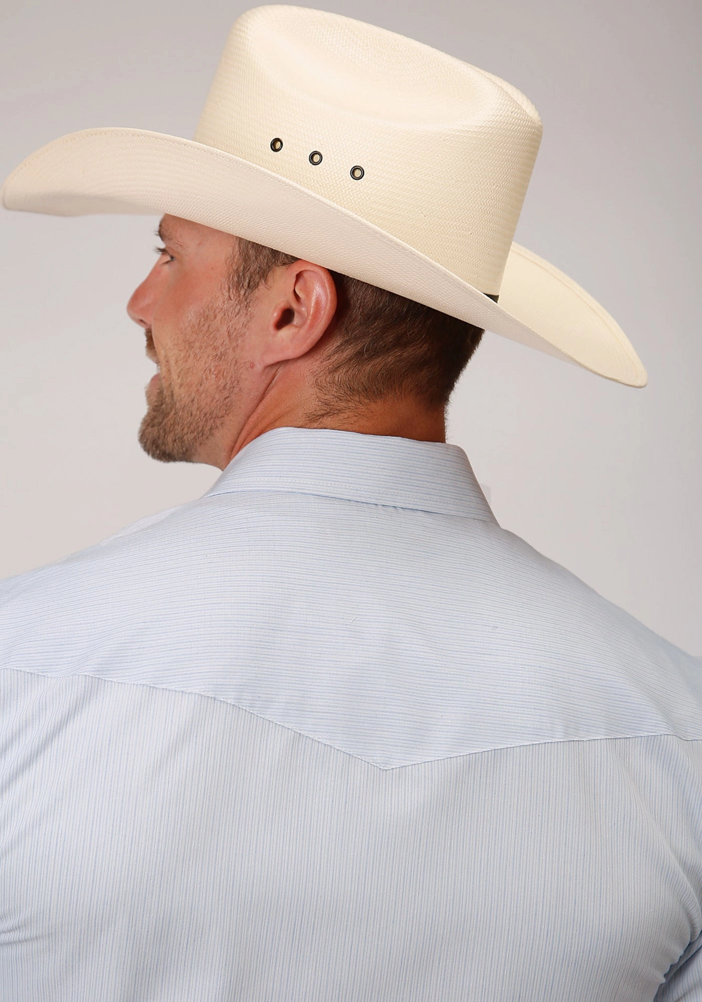 Roper Mens Blue/White Cotton Blend Tiny Stripe S/S Shirt Mountain Retreat