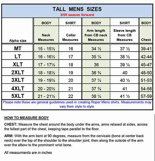 Casual Elegance Structured Collar Roper Mens Tall Vintage Plaid White Cotton Blend S/S Shirt