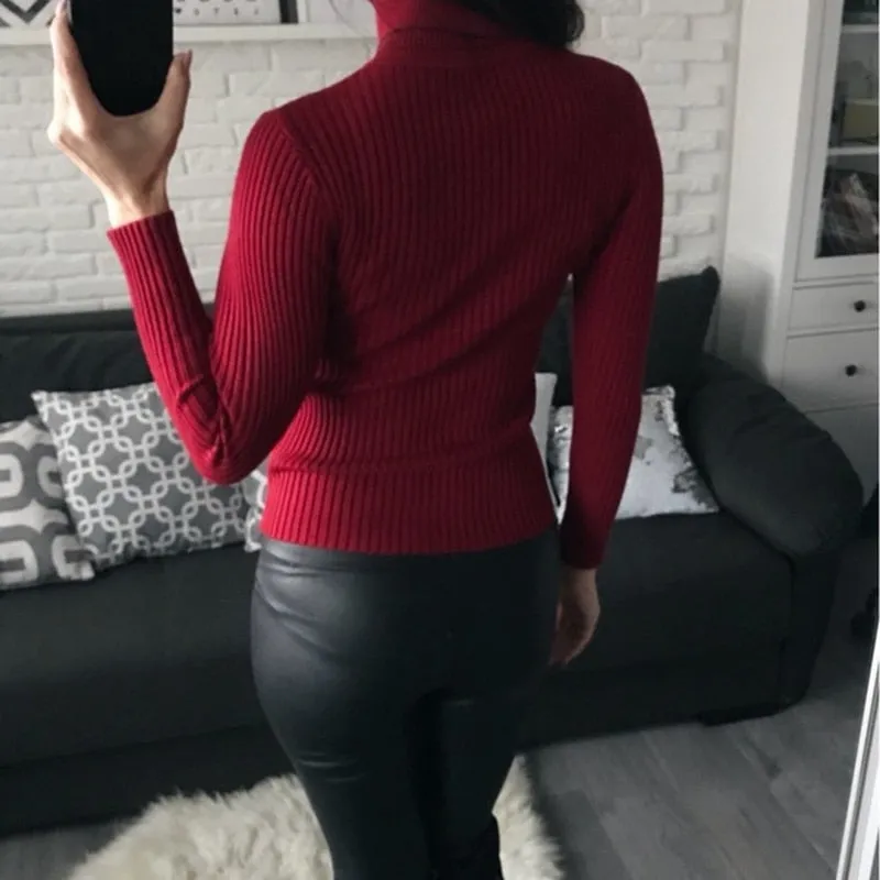Women Sweater Autumn Winter Thick Turtleneck Warm Knitted Pull High Elasticity Soft